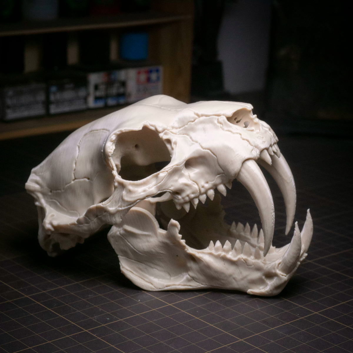 Sabre-tooth tiger skull ornament detail