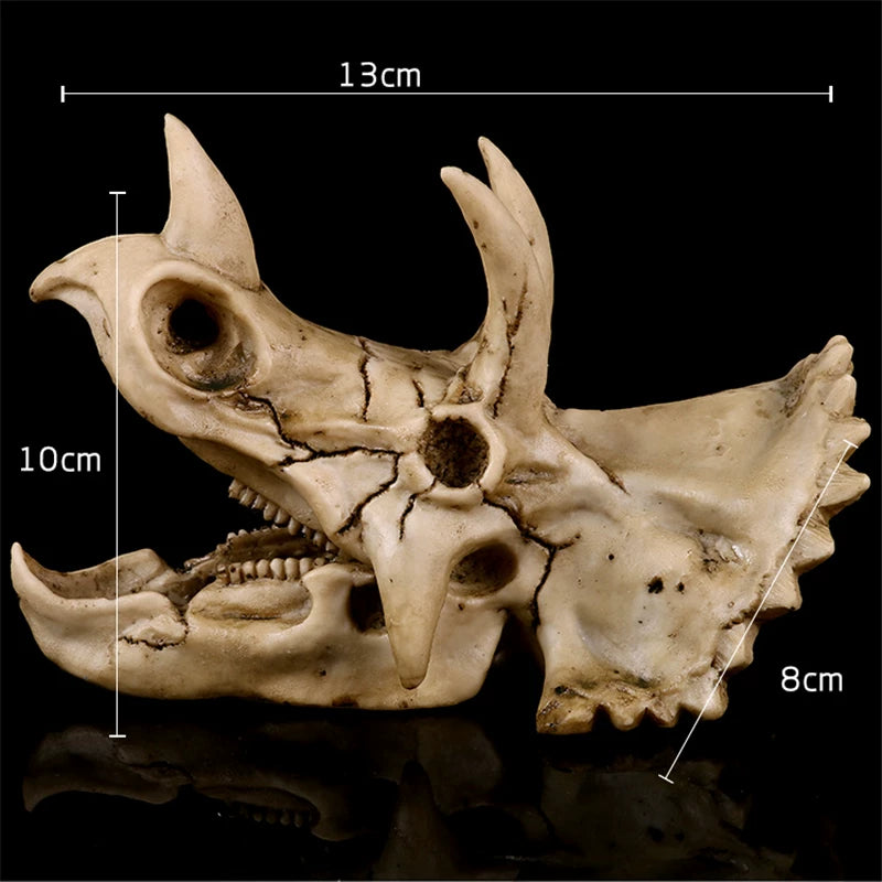 Triceratops