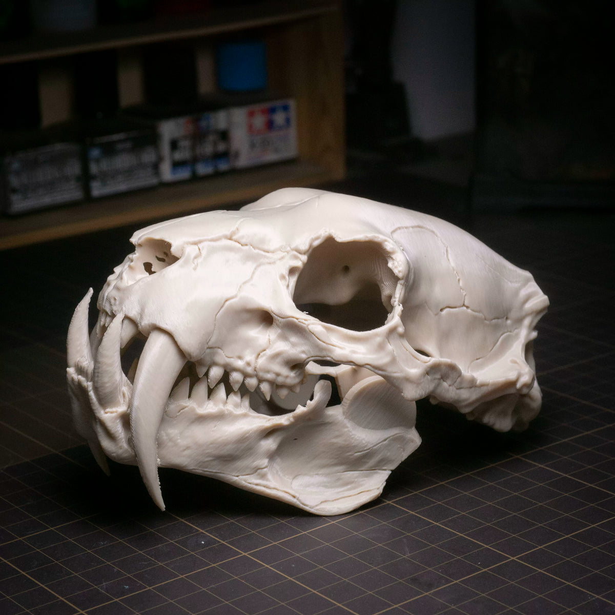 Sabre-tooth tiger skull ornament