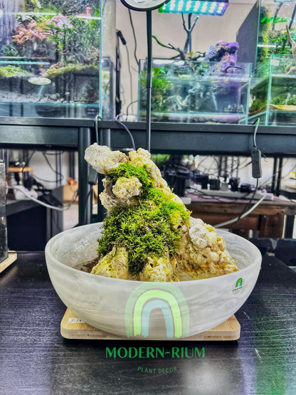 Mistspire – Alpine Mossscape in Marble Glass Bowl