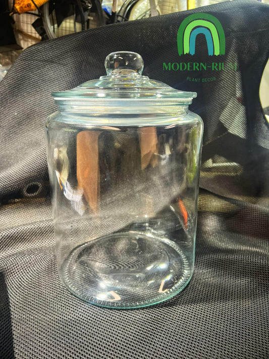 Loli Jar Size 20*29 DIY Terrarium Kit