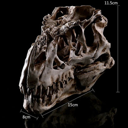 Resin dinosaur skull ornament
