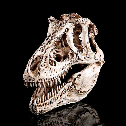 T-Rex – White