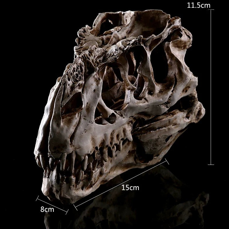 T-Rex – Natural