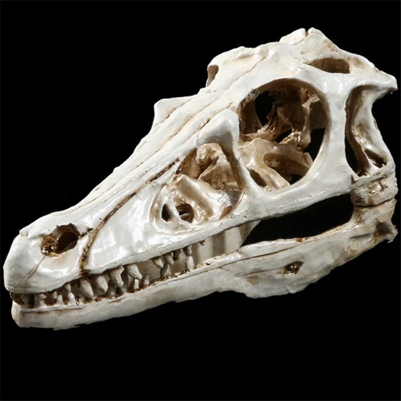 Velociraptor