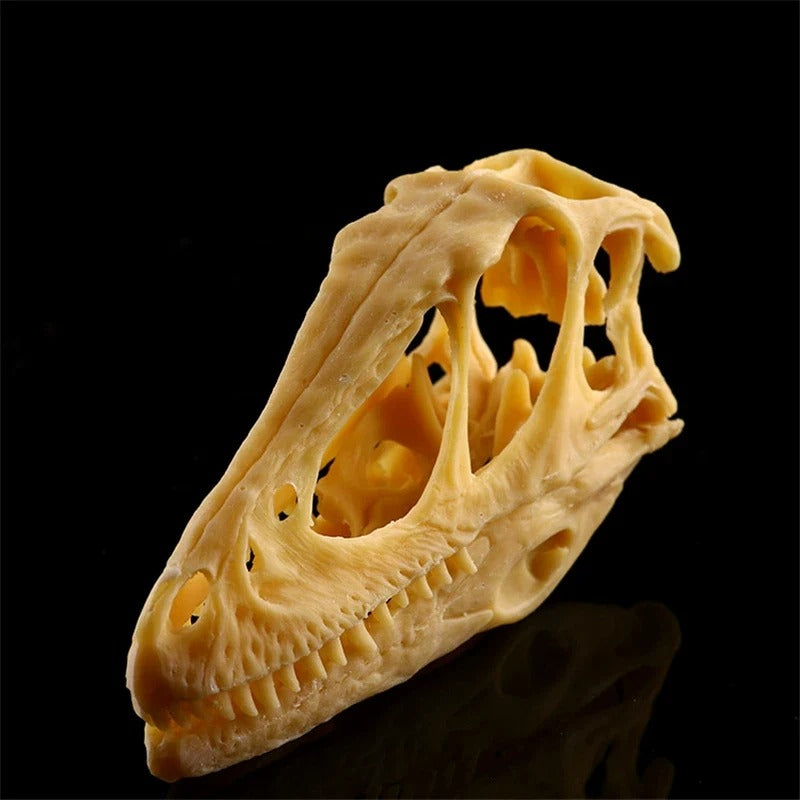 Raptor – Beige