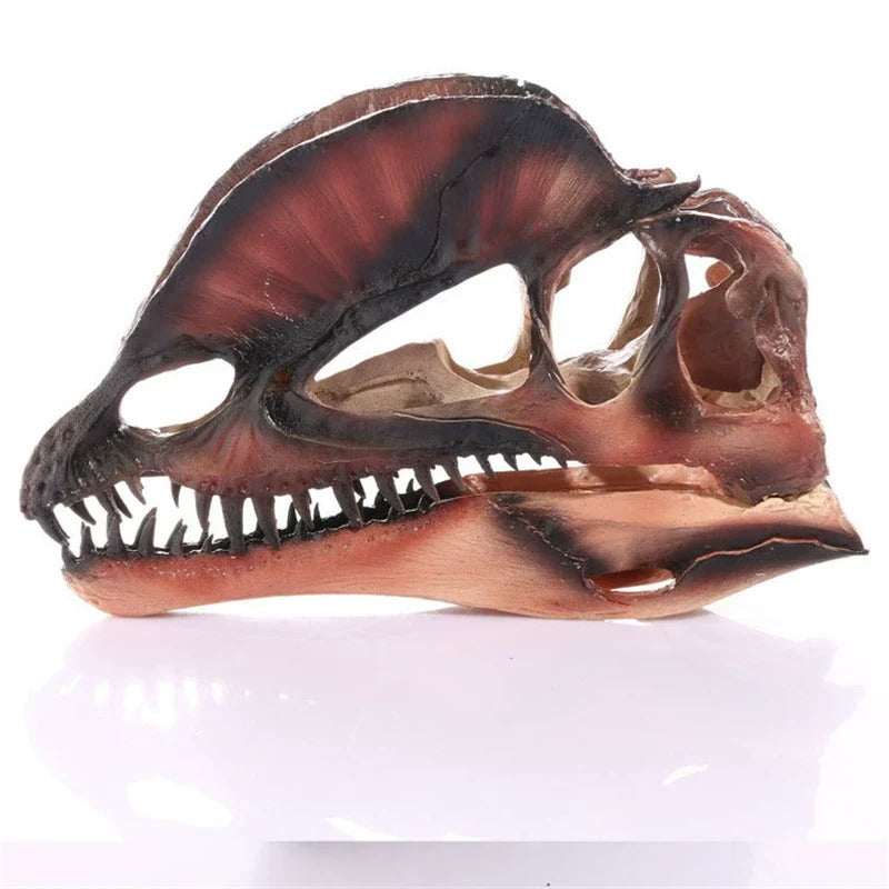 Dilophosaurus