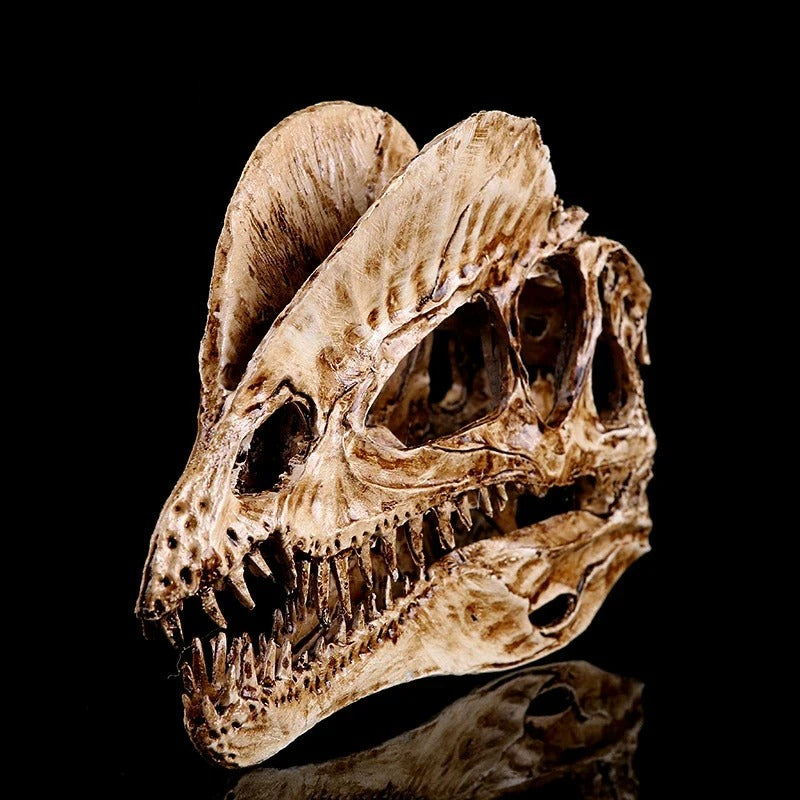 Dilophosaurus – Aged