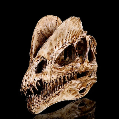 Dilophosaurus – Aged