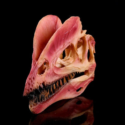 Dilophosaurus – Red