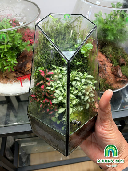 Emerald Prism ready-made terrarium – view 4