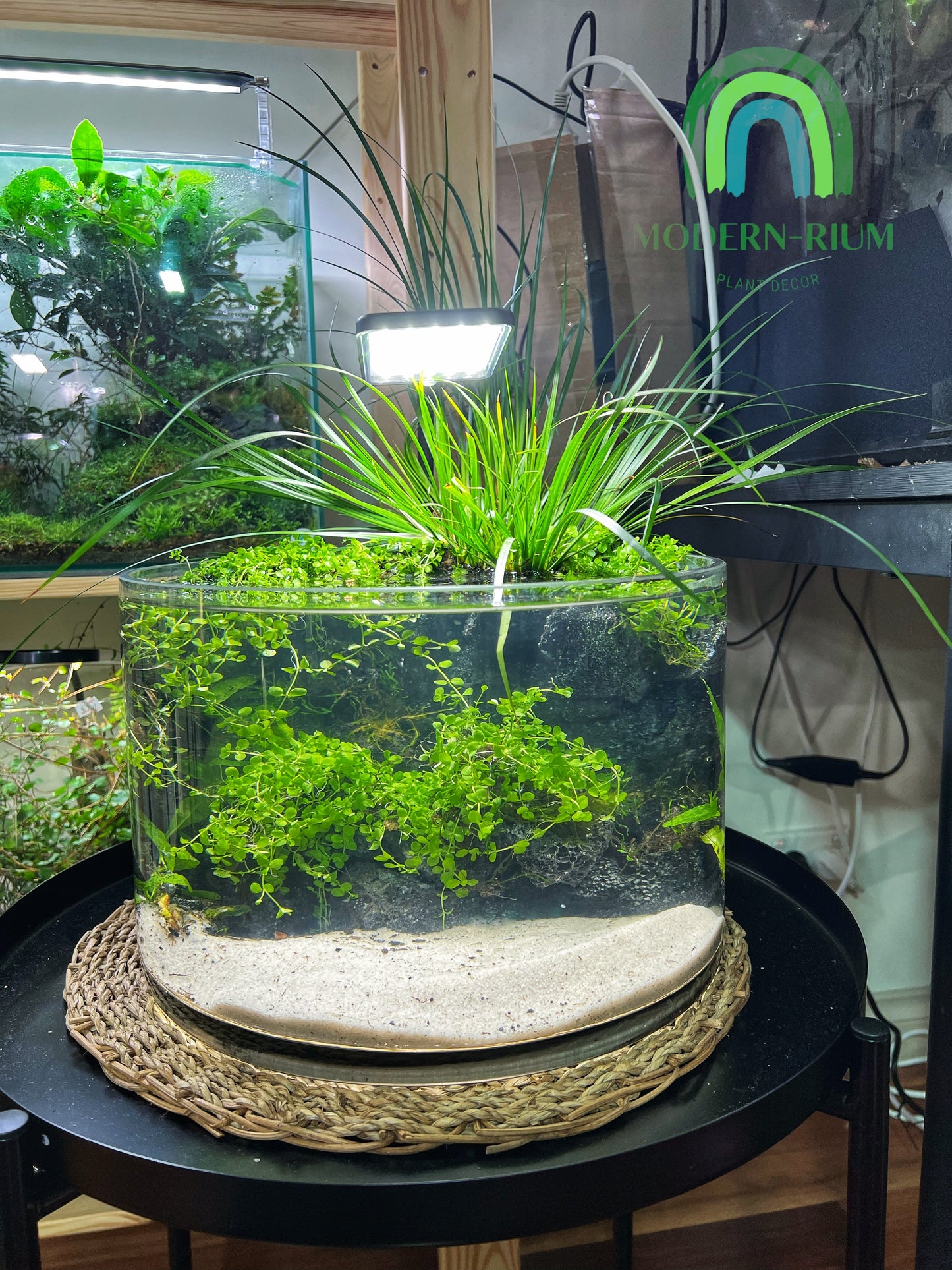 Aquarium 35cm wide bowl river bank style