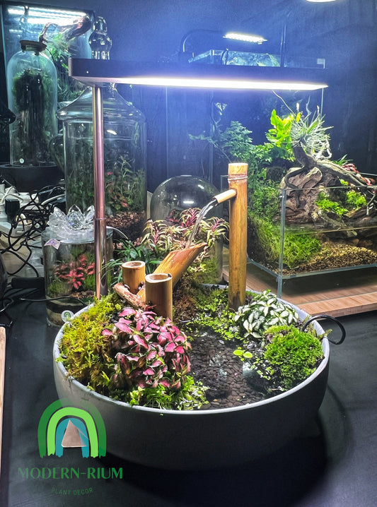 Japanese garden indoor water feature