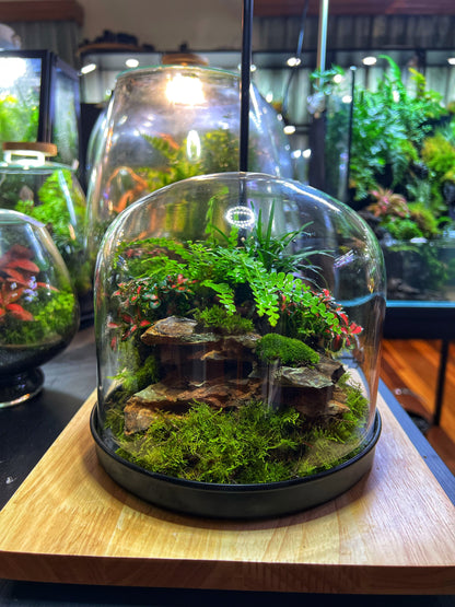 Domed terrarium “Little world under a dome”