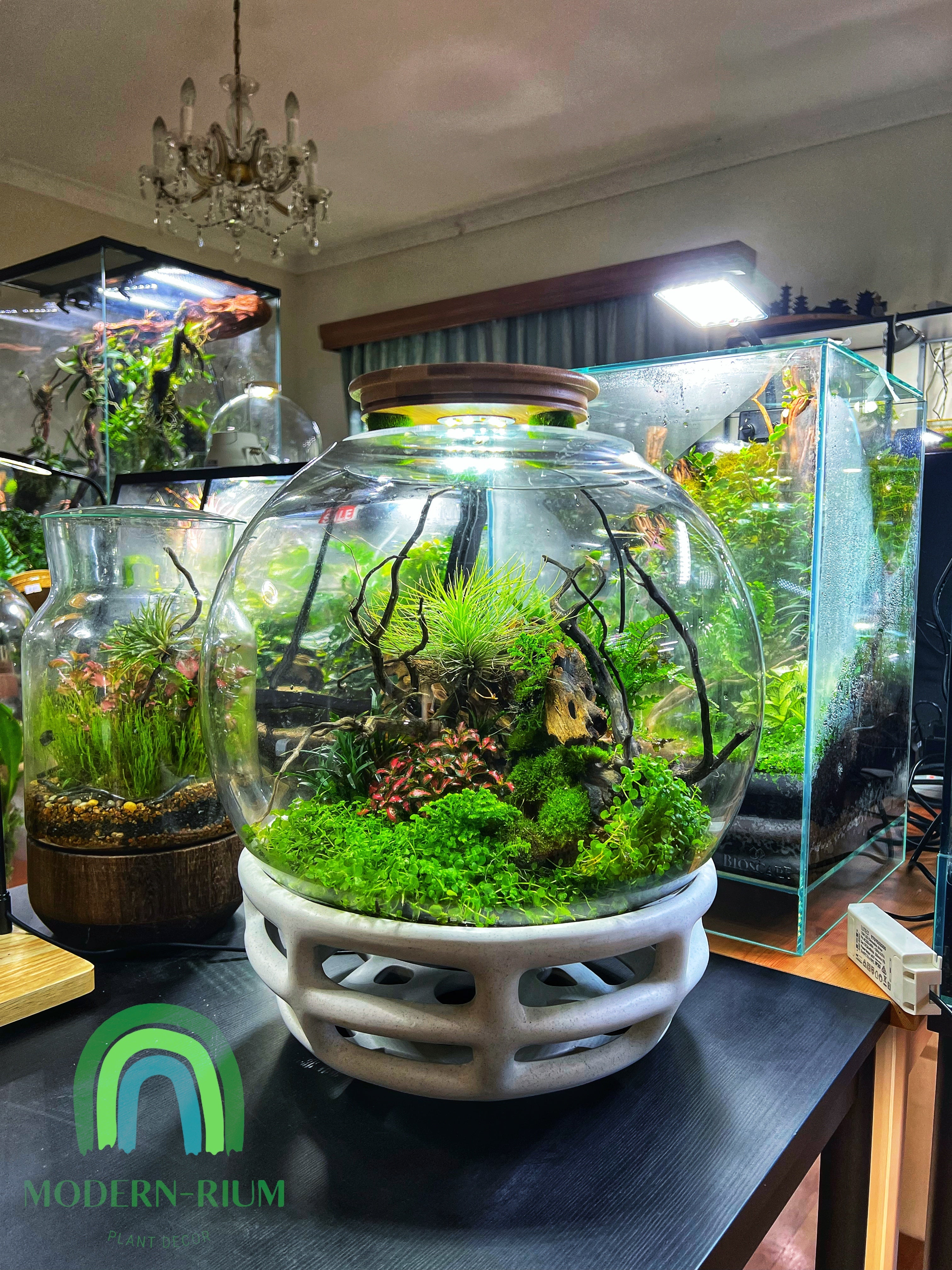 Buy fish bowl near cheap me