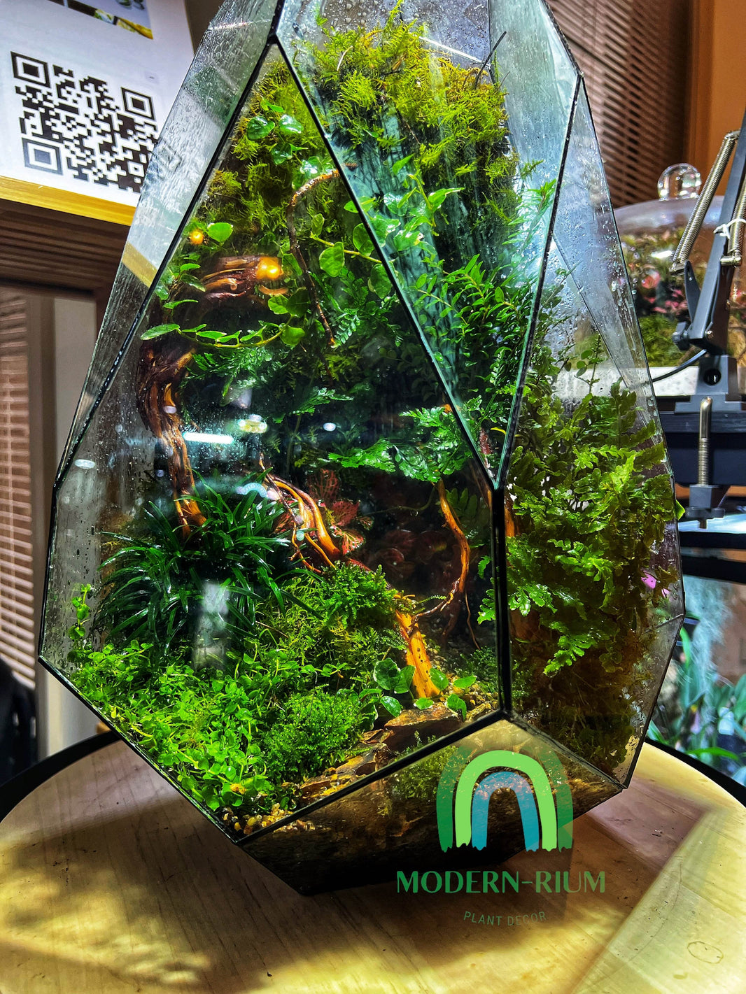 Collections Explore Terrariums readymade in Melbourne modernrium