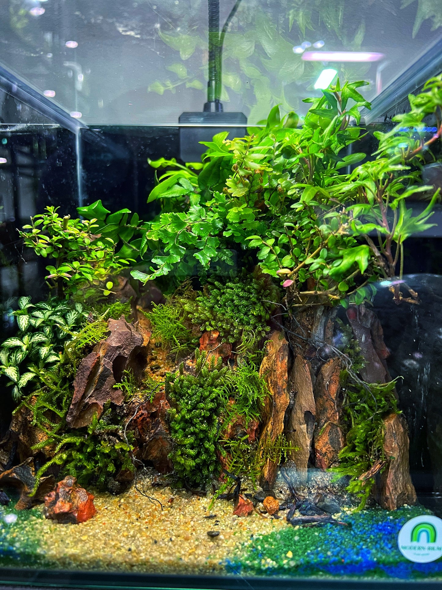 Cube Rock Cliff tank (22cm)