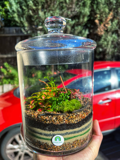 Sand Art terrarium