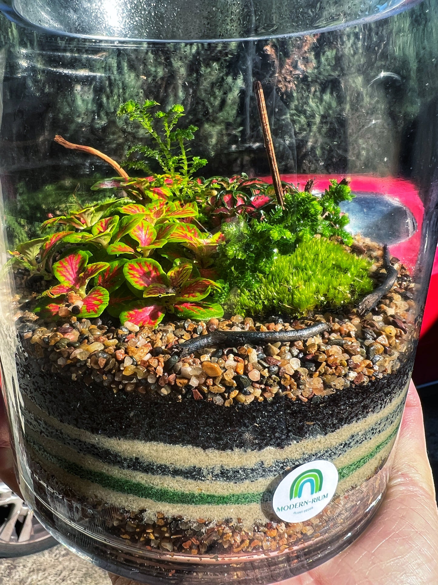 Sand Art terrarium