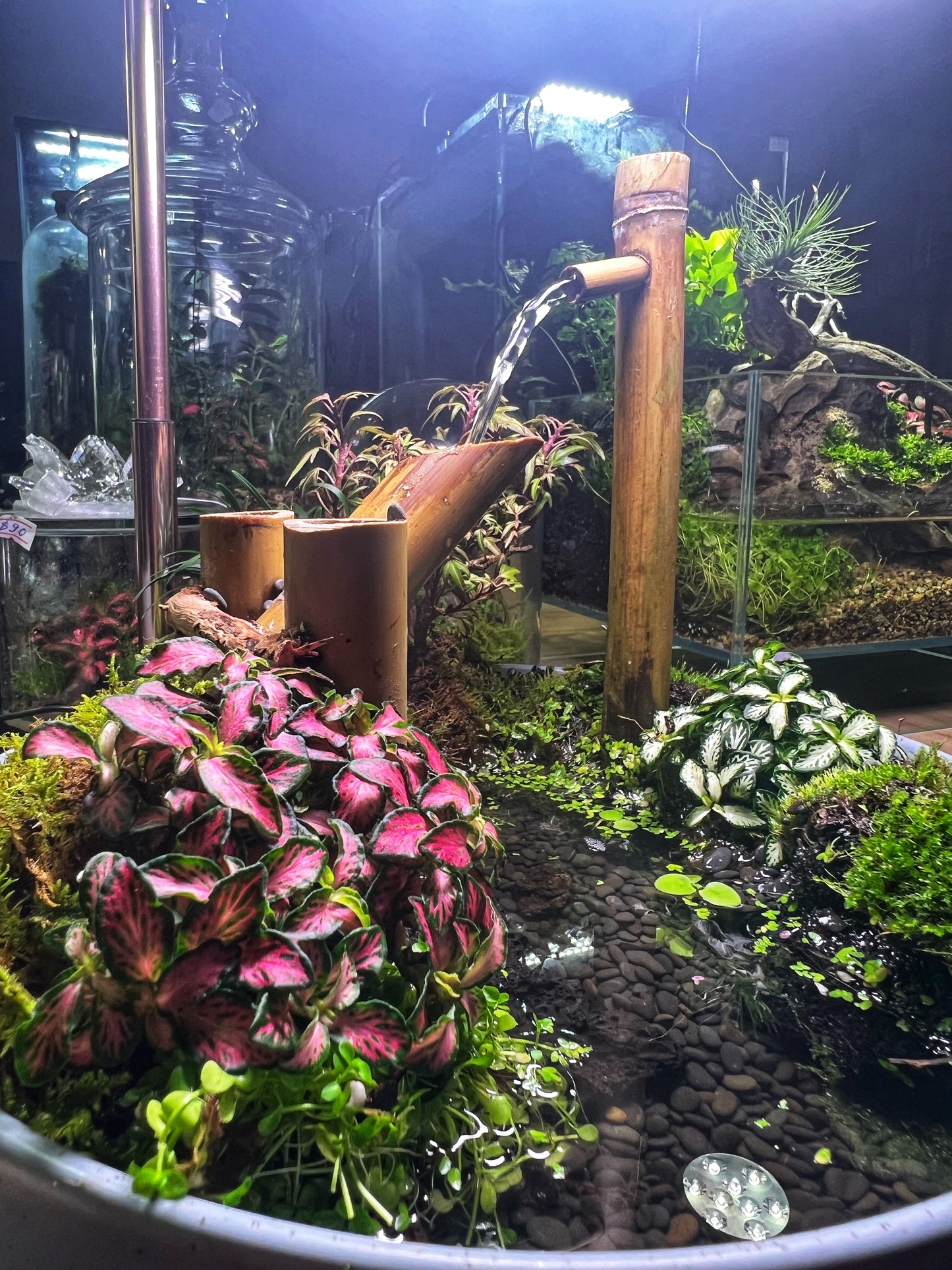 Japanese garden indoor water feature