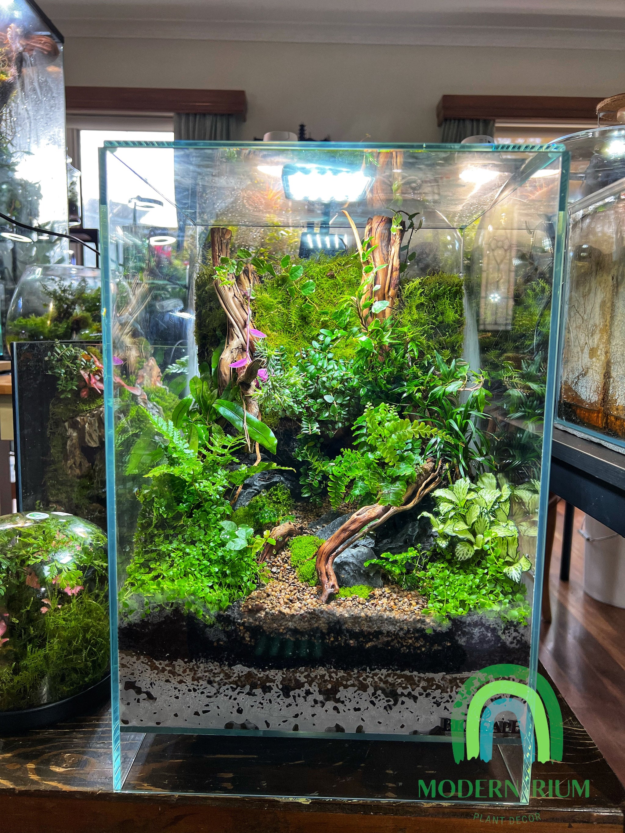 Bioscape Paludarium 30x30x45 Cm – Modernrium