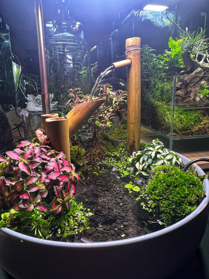 Japanese garden indoor water feature