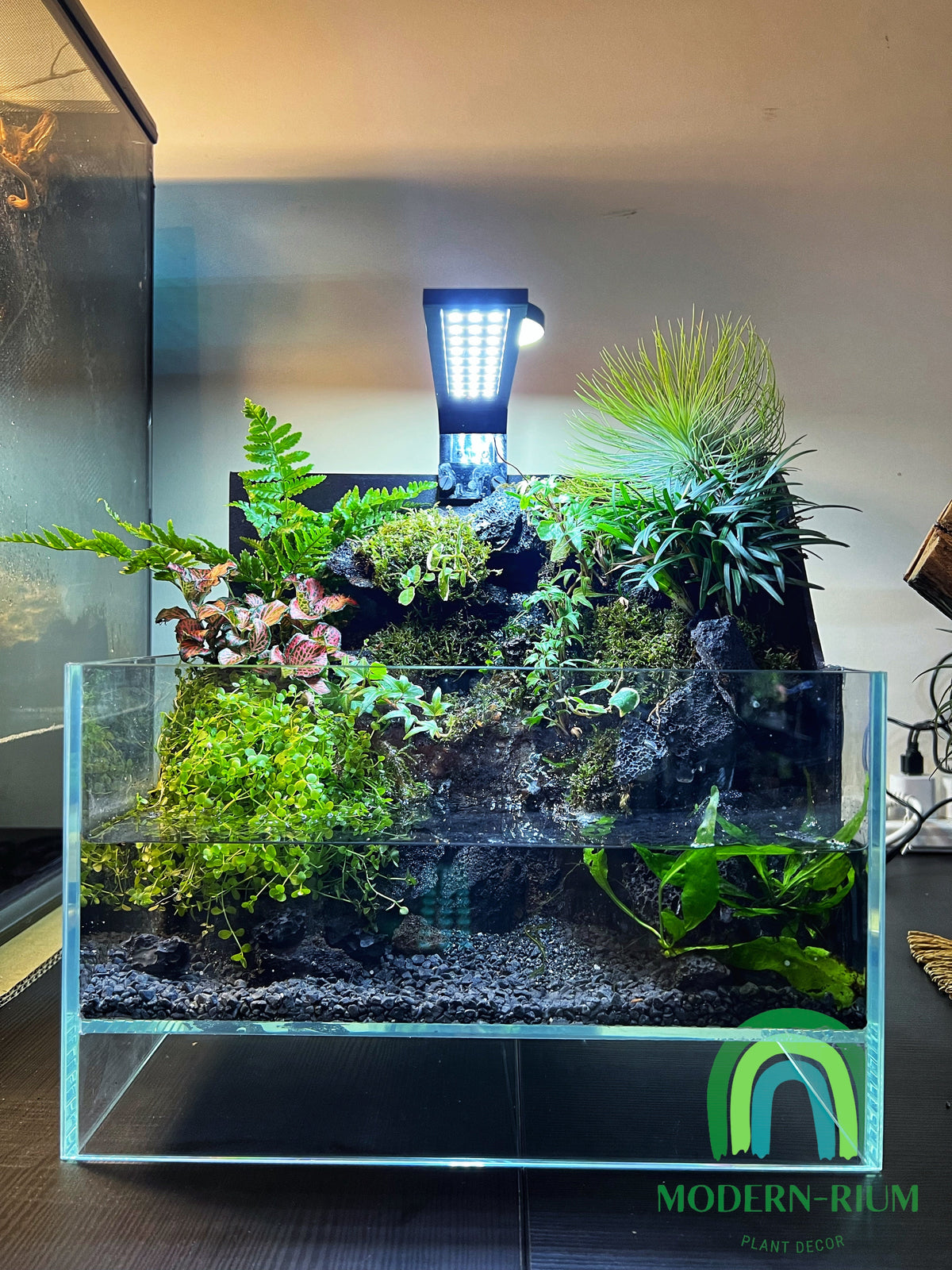 Paludarium waterfall tank Black Cliff – modernrium