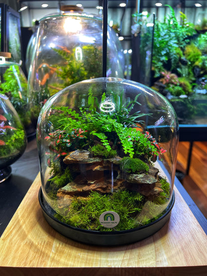 Domed terrarium “Little world under a dome”