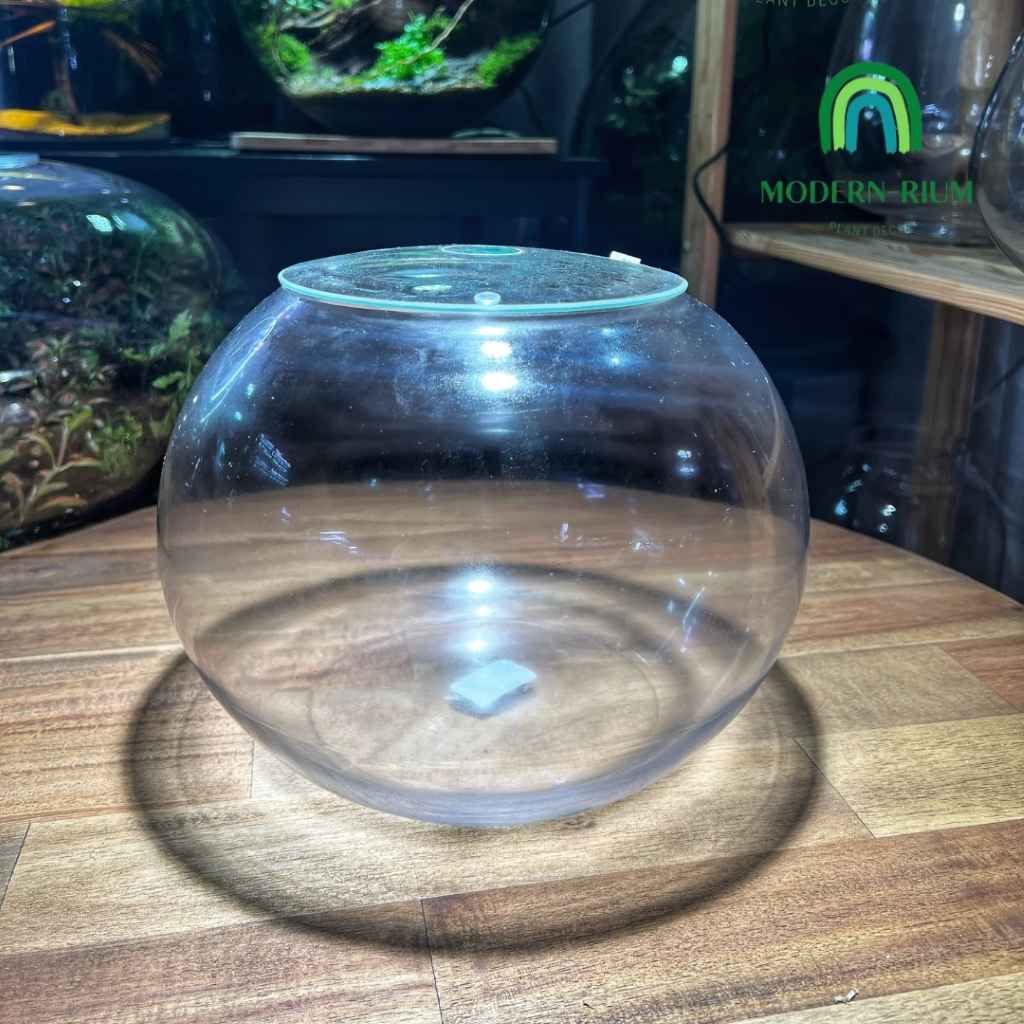 25cm Fish bowl Terrarium