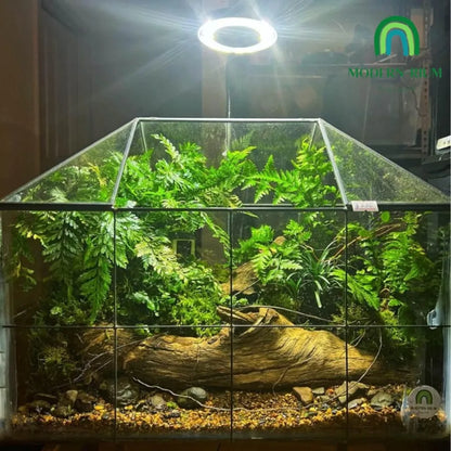 Warden Forest Readymade Terrarium Melbourne