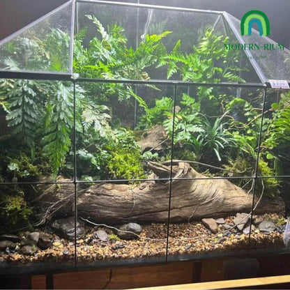 terrarium plants melbourne 40x30x30 Wardian Forest Terrarium