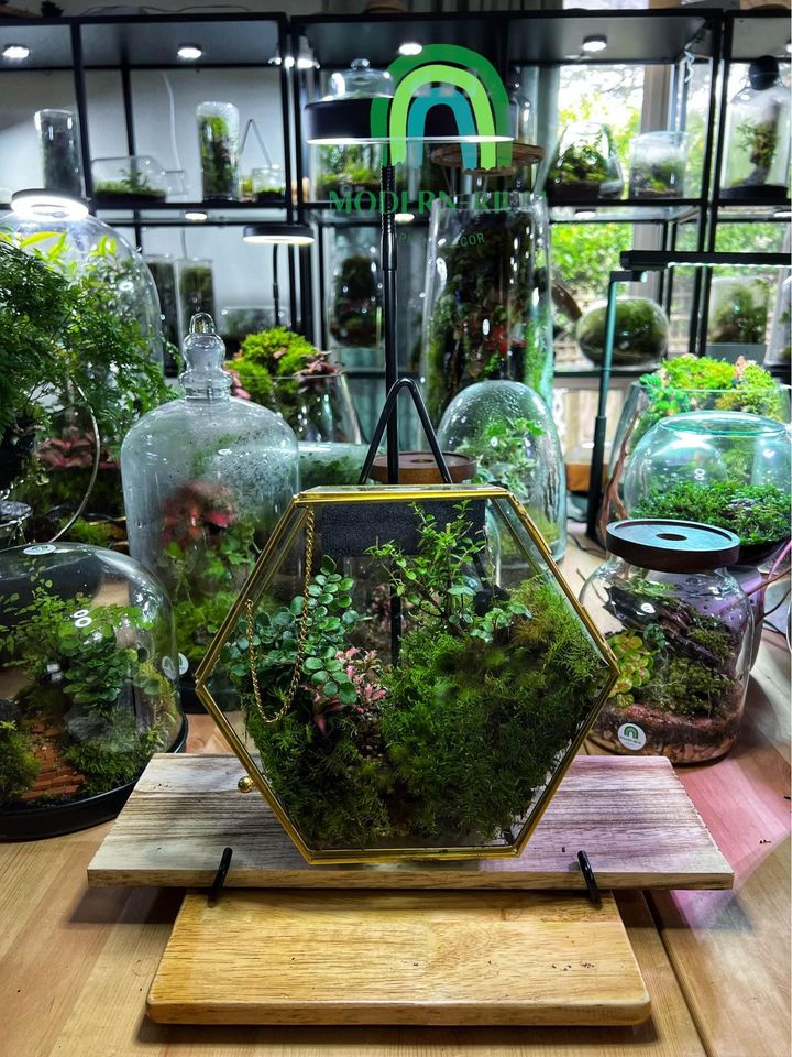 Mountain Landscape Glass Hexagon Terrarium