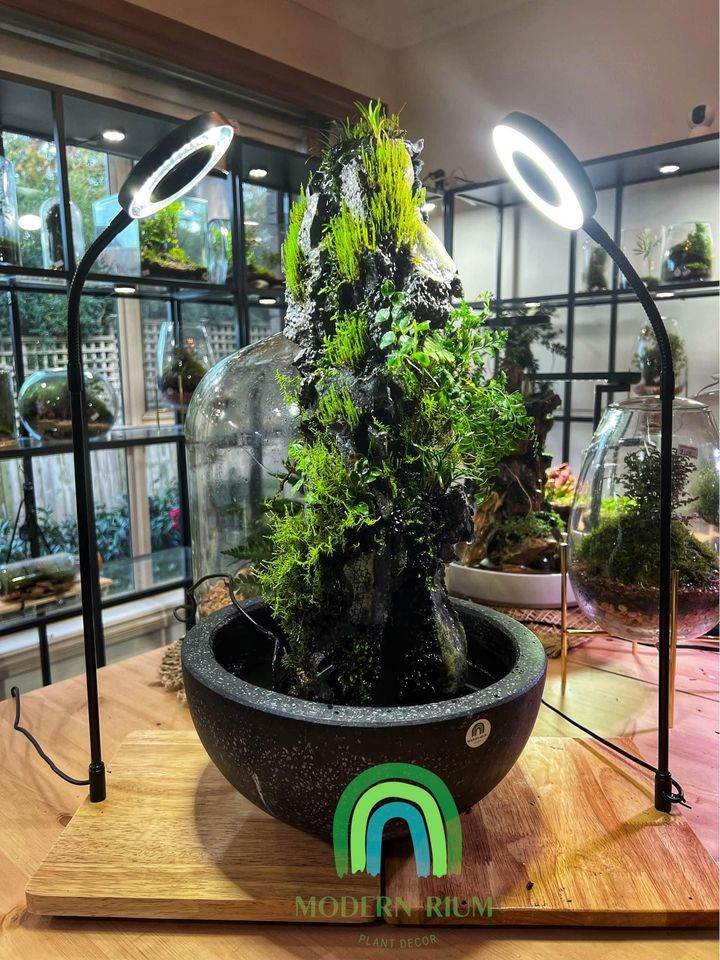 Indoor Water FeatureIndoor Water Feature in a Domemodernrium