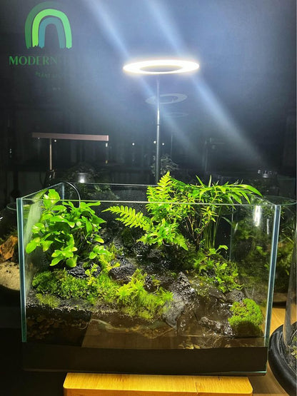 Aqua Terrarium Tank Stream Style