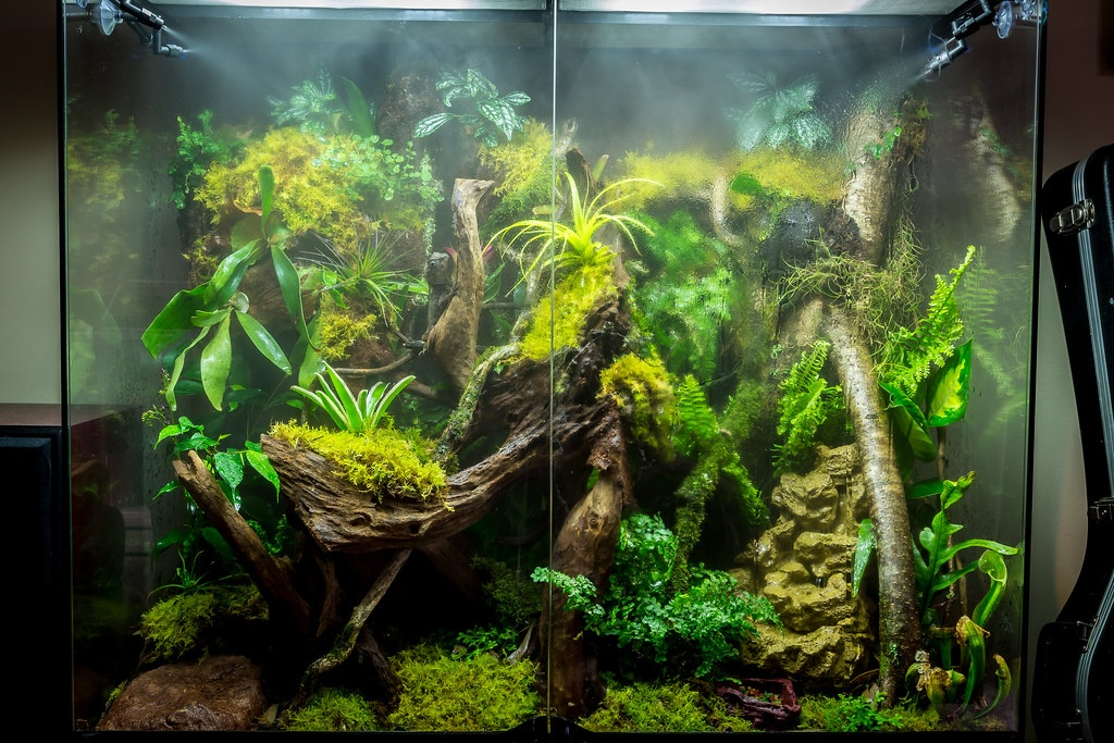 Mini Misting System for 6-8 noozle setups – modernrium