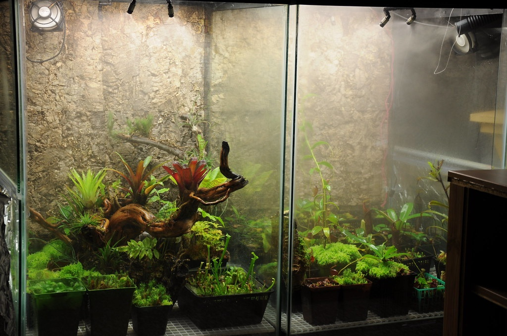 Mini Misting System for 6-8 noozle setups – modernrium