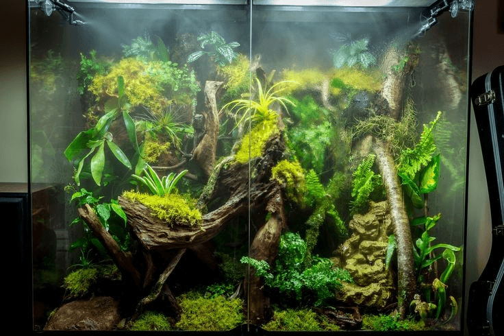 Terrarium misting deals system